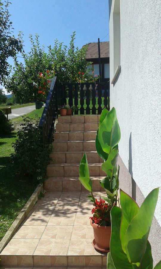 Apartment Dolores Smoljanac Exterior foto